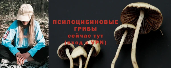 СК Нея