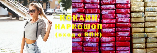 ешки Новодвинск