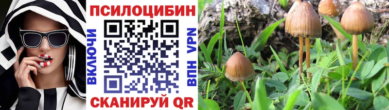 Псилоцибиновые грибы GOLDEN TEACHER  наркошоп  Починок 